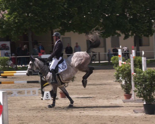 Reitturnier Kitzscher / Reitanlage Heuter 2025