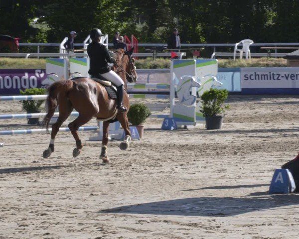 Reitturnier Bornheim-Widdig 2025
