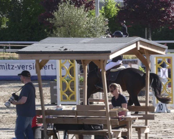 Reitturnier Bornheim-Widdig 2025