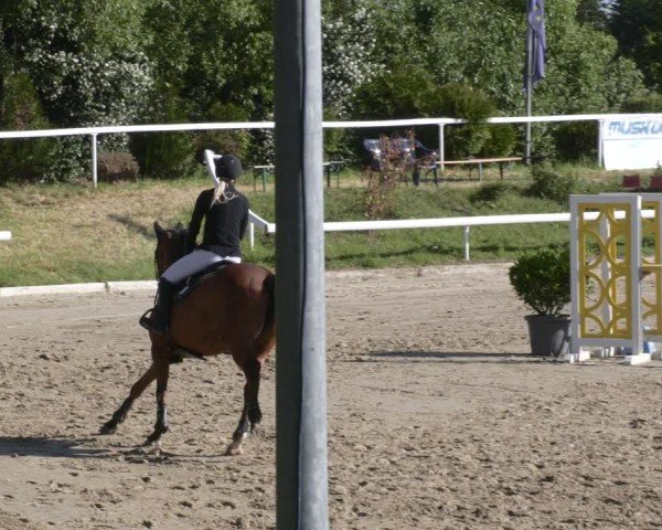Reitturnier Bornheim-Widdig 2025