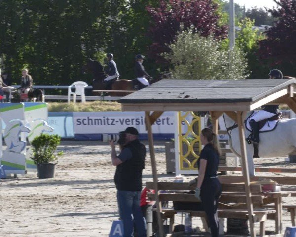 Reitturnier Bornheim-Widdig 2025