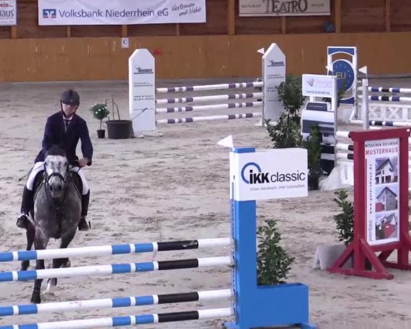 Hallenspringturnier Xanten - Reitanlage Miß 2014