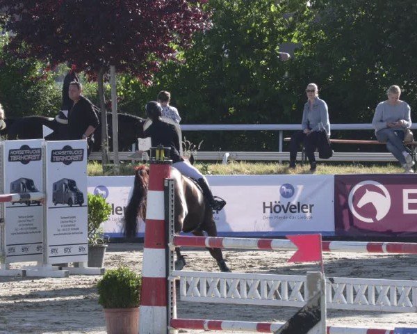 Reitturnier Bornheim-Widdig 2025