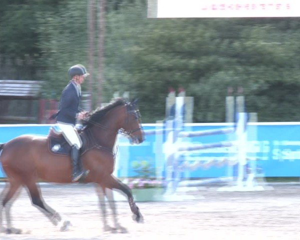 Reitturnier Lassee 2025