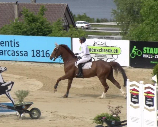 Reitturnier Wädenswil 2025