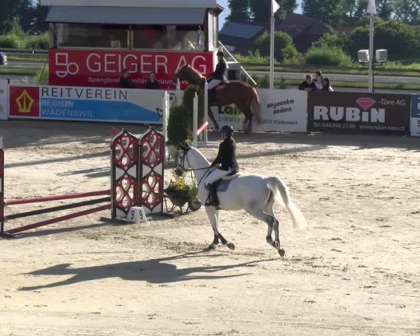 Reitturnier Wädenswil 2025