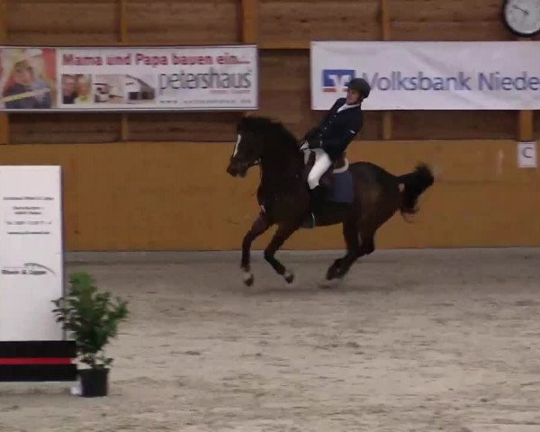 Hallenspringturnier Xanten - Reitanlage Miß 2014