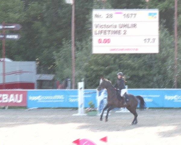 Reitturnier Lassee 2025