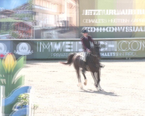 Reitturnier Lassee 2025
