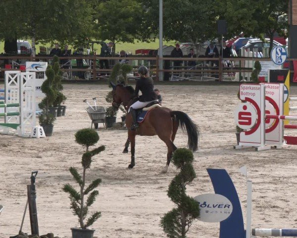 Reitturnier Kirchhellen/Stall Dieckmann 2025