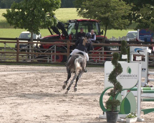 Reitturnier Kirchhellen/Stall Dieckmann 2025