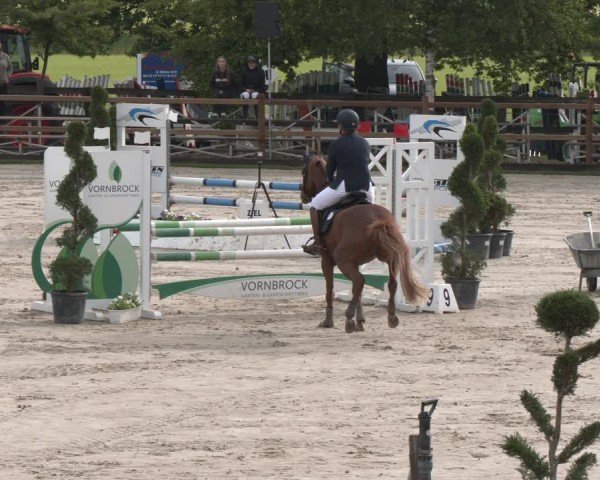 Reitturnier Kirchhellen/Stall Dieckmann 2025