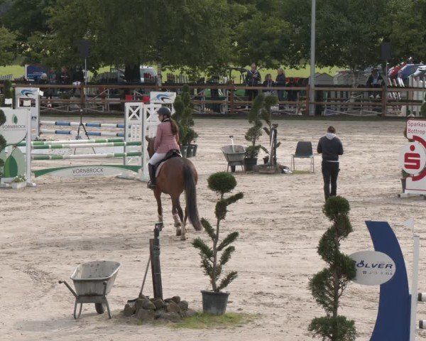 Reitturnier Kirchhellen/Stall Dieckmann 2025