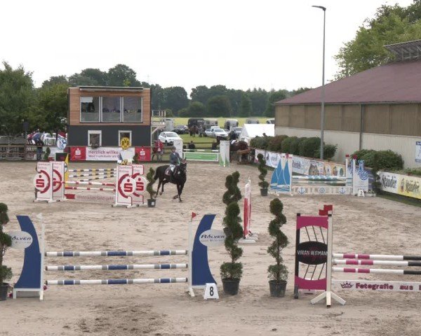Reitturnier Kirchhellen/Stall Dieckmann 2025
