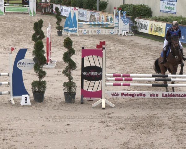Reitturnier Kirchhellen/Stall Dieckmann 2025
