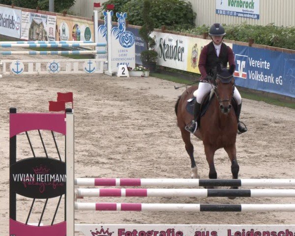 Reitturnier Kirchhellen/Stall Dieckmann 2025