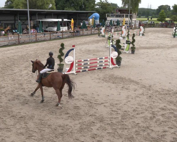 Reitturnier Kirchhellen/Stall Dieckmann 2025