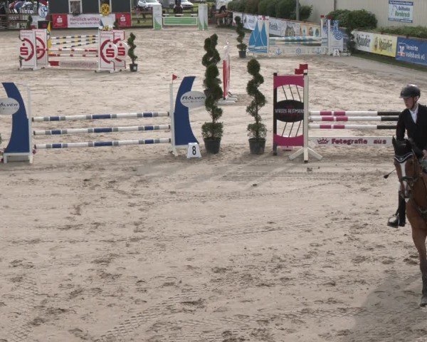 Reitturnier Kirchhellen/Stall Dieckmann 2025