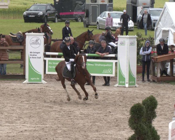Reitturnier Kirchhellen/Stall Dieckmann 2025