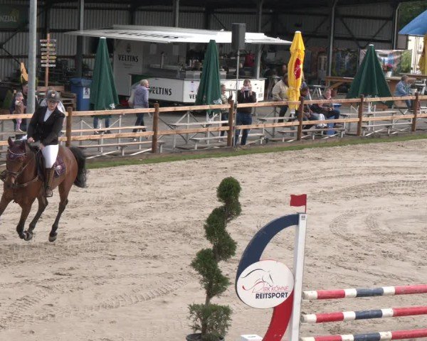 Reitturnier Kirchhellen/Stall Dieckmann 2025