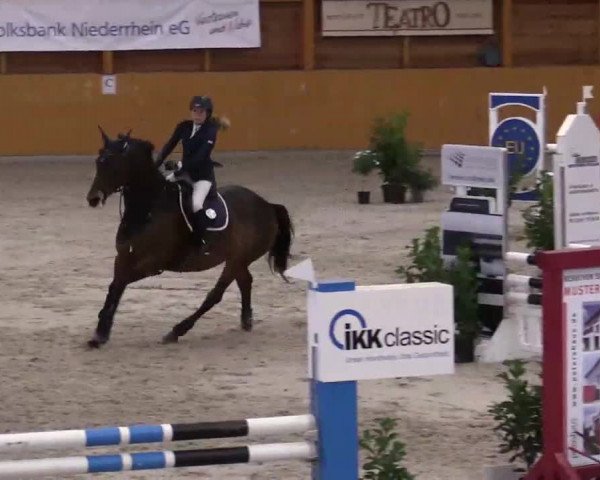Hallenspringturnier Xanten - Reitanlage Miß 2014