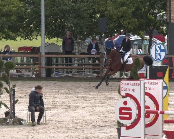 Reitturnier Kirchhellen/Stall Dieckmann 2025