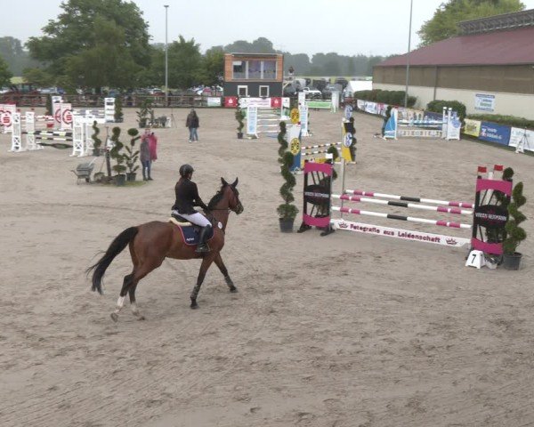 Reitturnier Kirchhellen/Stall Dieckmann 2025