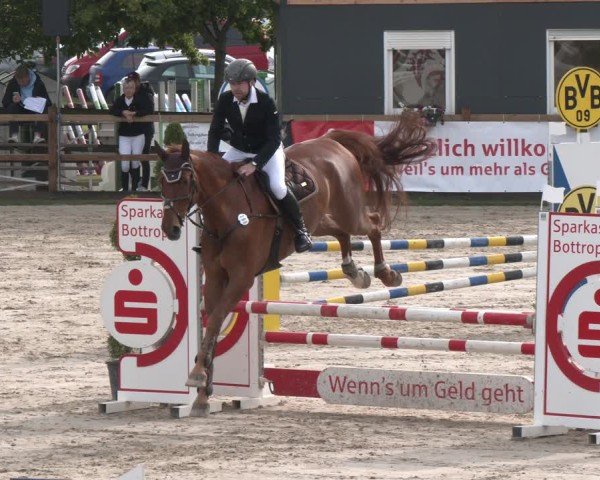 Reitturnier Kirchhellen/Stall Dieckmann 2025