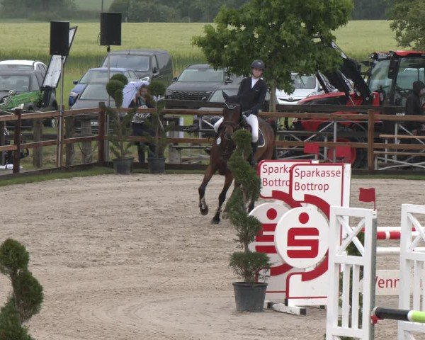 Reitturnier Kirchhellen/Stall Dieckmann 2025