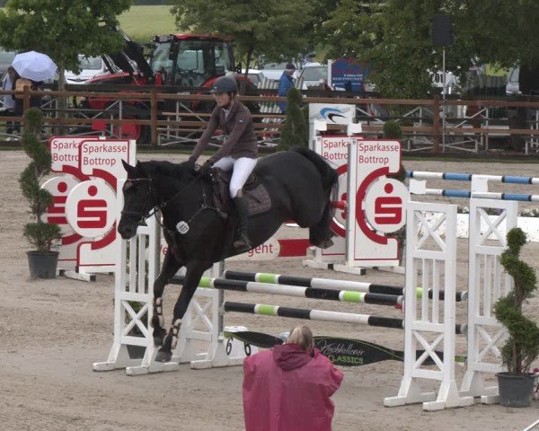 Reitturnier Kirchhellen/Stall Dieckmann 2025
