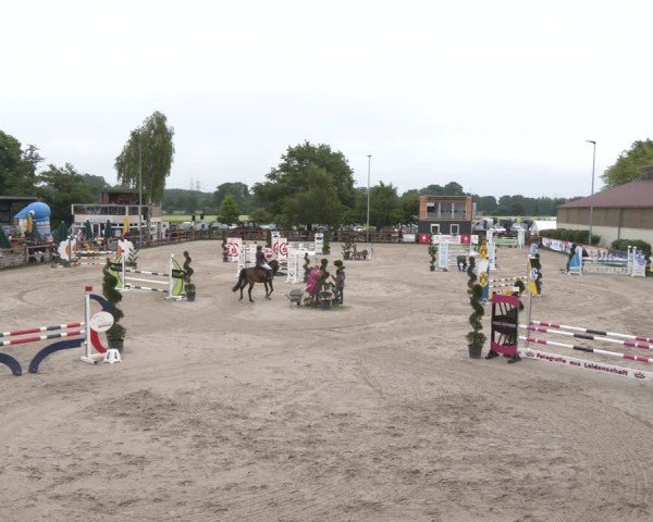 Reitturnier Kirchhellen/Stall Dieckmann 2025