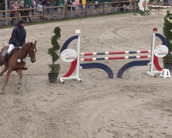 Reitturnier Kirchhellen/Stall Dieckmann 2025