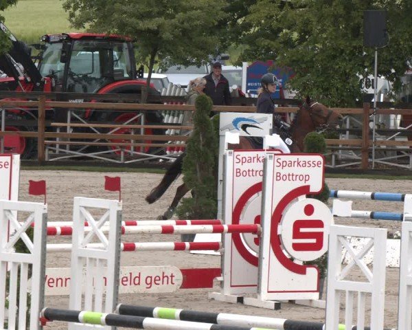 Reitturnier Kirchhellen/Stall Dieckmann 2025