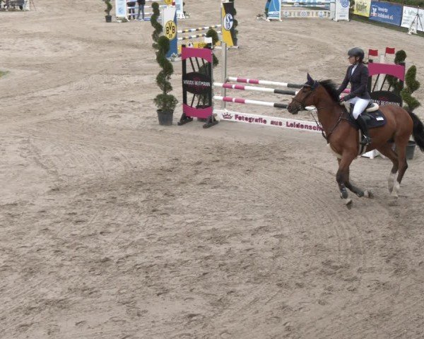 Reitturnier Kirchhellen/Stall Dieckmann 2025