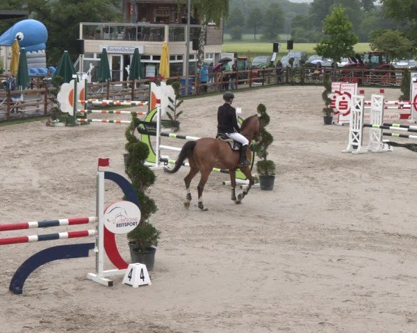 Reitturnier Kirchhellen/Stall Dieckmann 2025