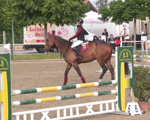 Reitturnier Kitzscher / Reitanlage Heuter 2025