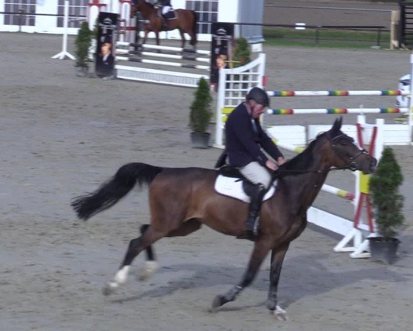 Reitturnier Hamm-Rhynern 2025