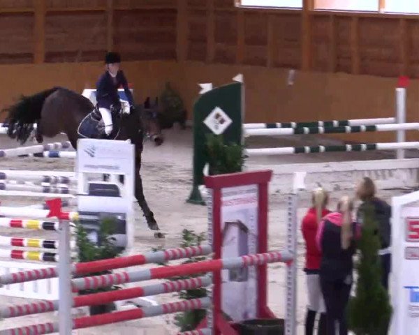 Hallenspringturnier Xanten - Reitanlage Miß 2014