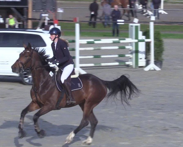 Reitturnier Hamm-Rhynern 2025