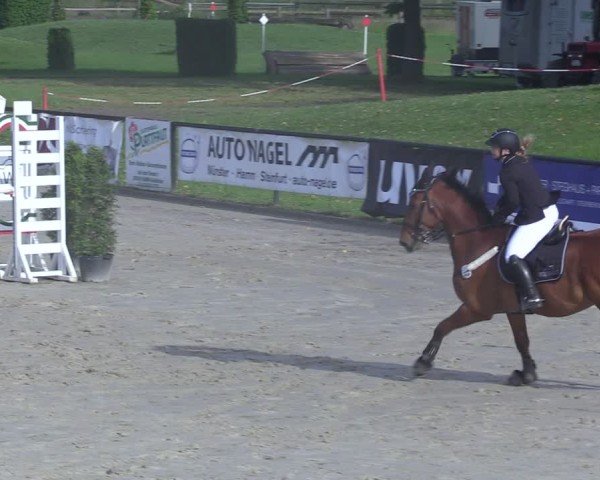 Reitturnier Hamm-Rhynern 2025