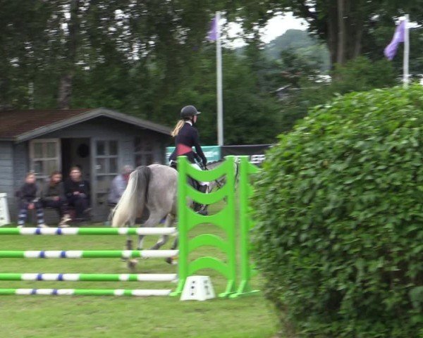 Reitturnier Scharnebeck 2025