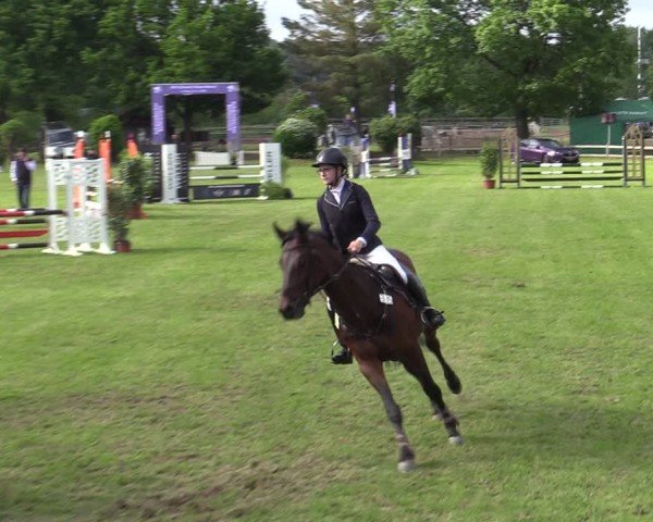Reitturnier Scharnebeck 2025