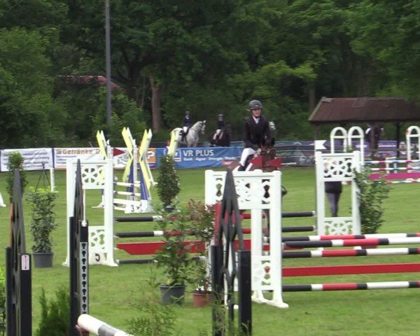 Reitturnier Scharnebeck 2025