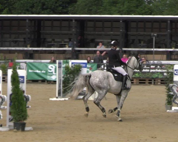 Reitturnier Hellefeld 2025