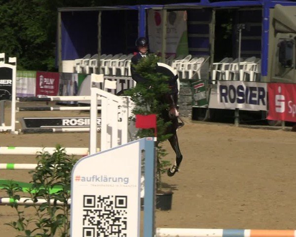 Reitturnier Hellefeld 2025