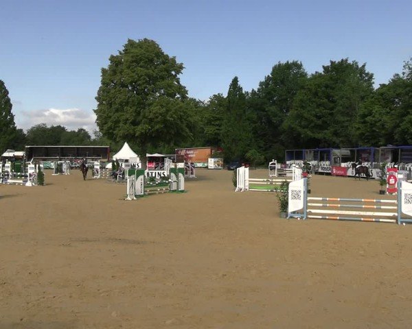 Reitturnier Hellefeld 2025