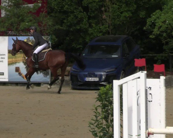 Reitturnier Hellefeld 2025