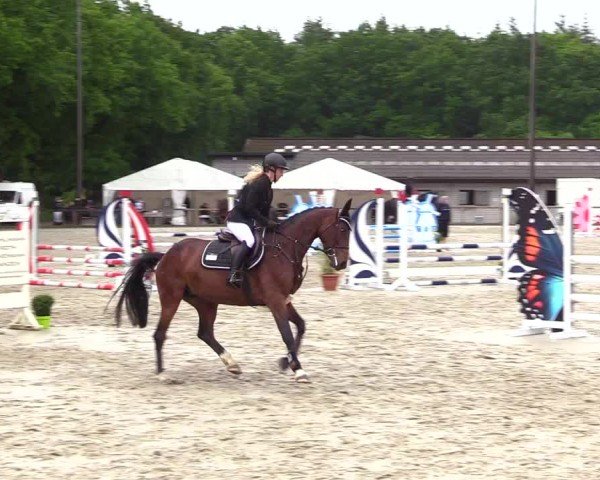 Reitturnier Kropp 2025
