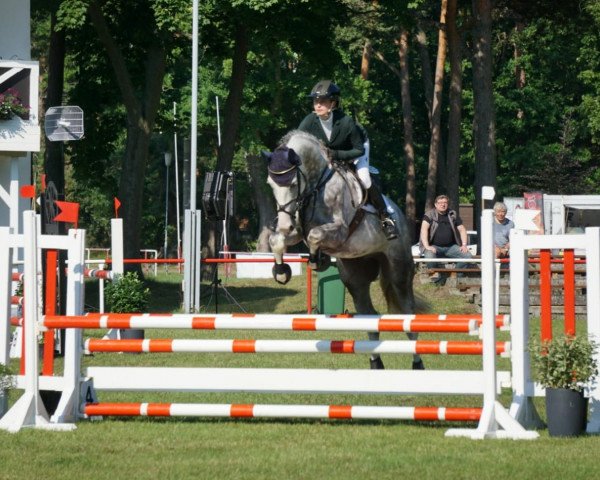 jumper Close Contact (Mecklenburg, 2015, from Coupie)