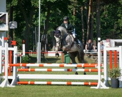 jumper Close Contact (Mecklenburg, 2015, from Coupie)
